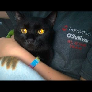 Meet your Posher, Aubree